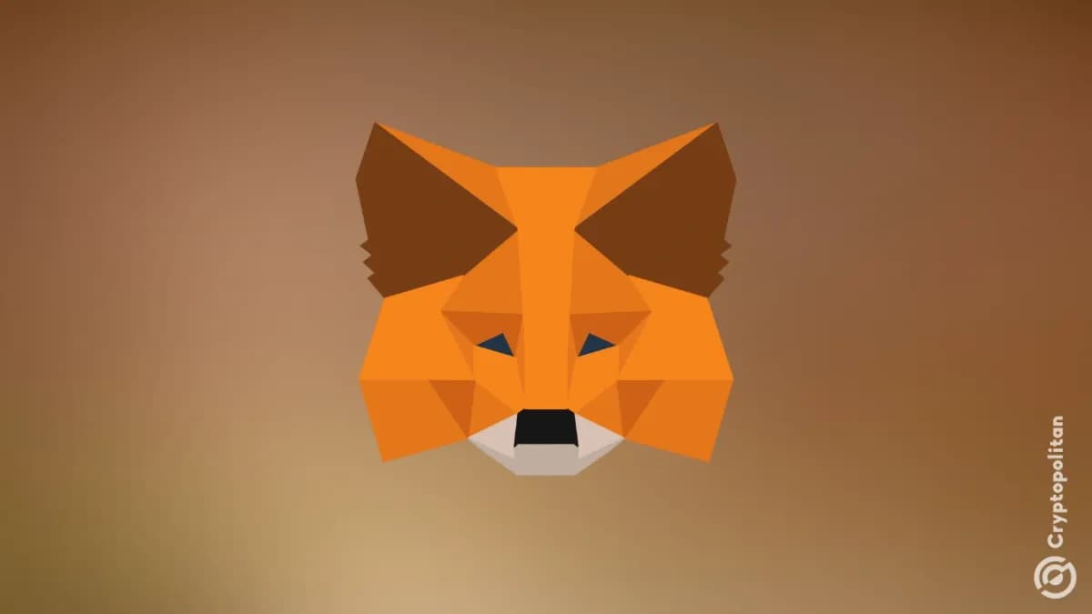 يوفر تطبيق MetaMask فوائد TheMiracle مباشرة في محفظتك
