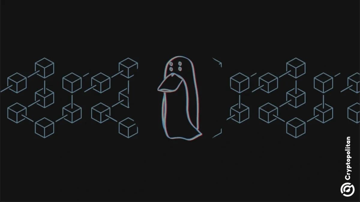 أثار ZachXBT تحذيراً بشأن التلاعب الداخلي مع ارتفاع سعر رمز LAB
