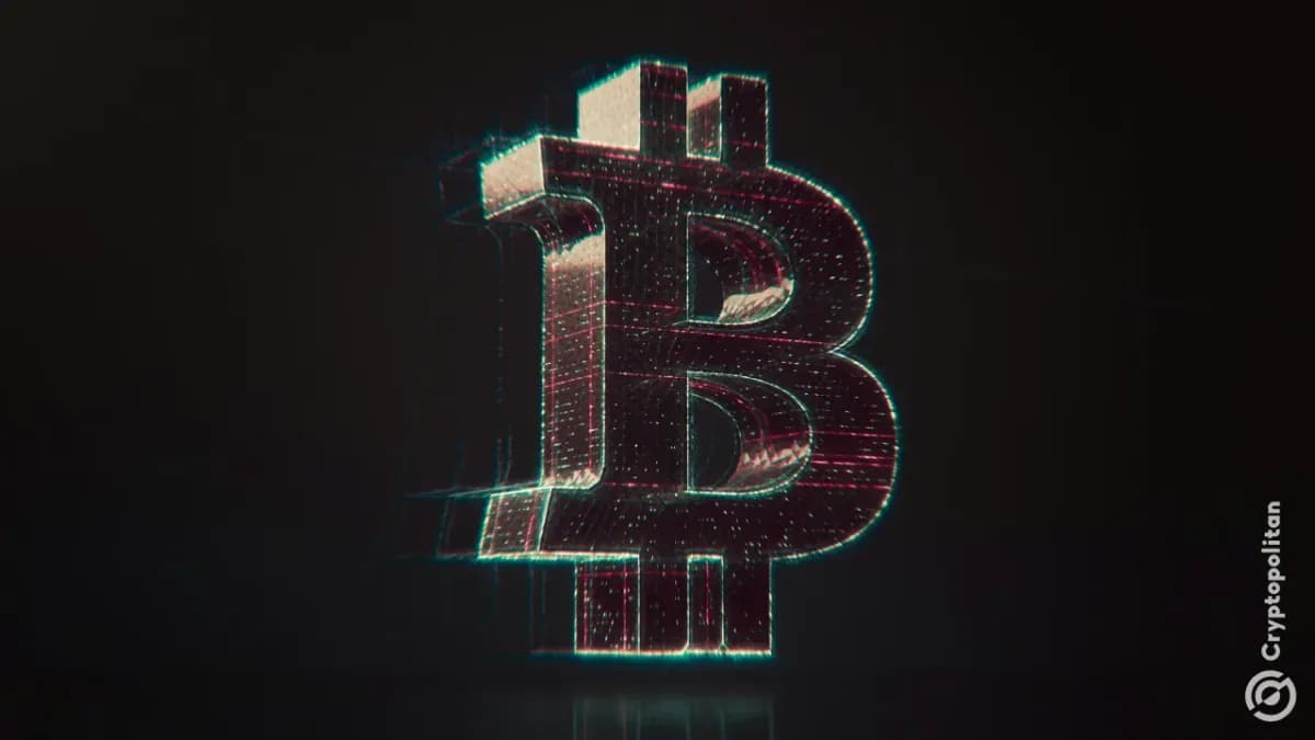 محفظة Bitcoin خاملة منذ عام 2013 تنقل 500 بيتكوين بقيمة 40 مليون دولار - Cryptopolitan