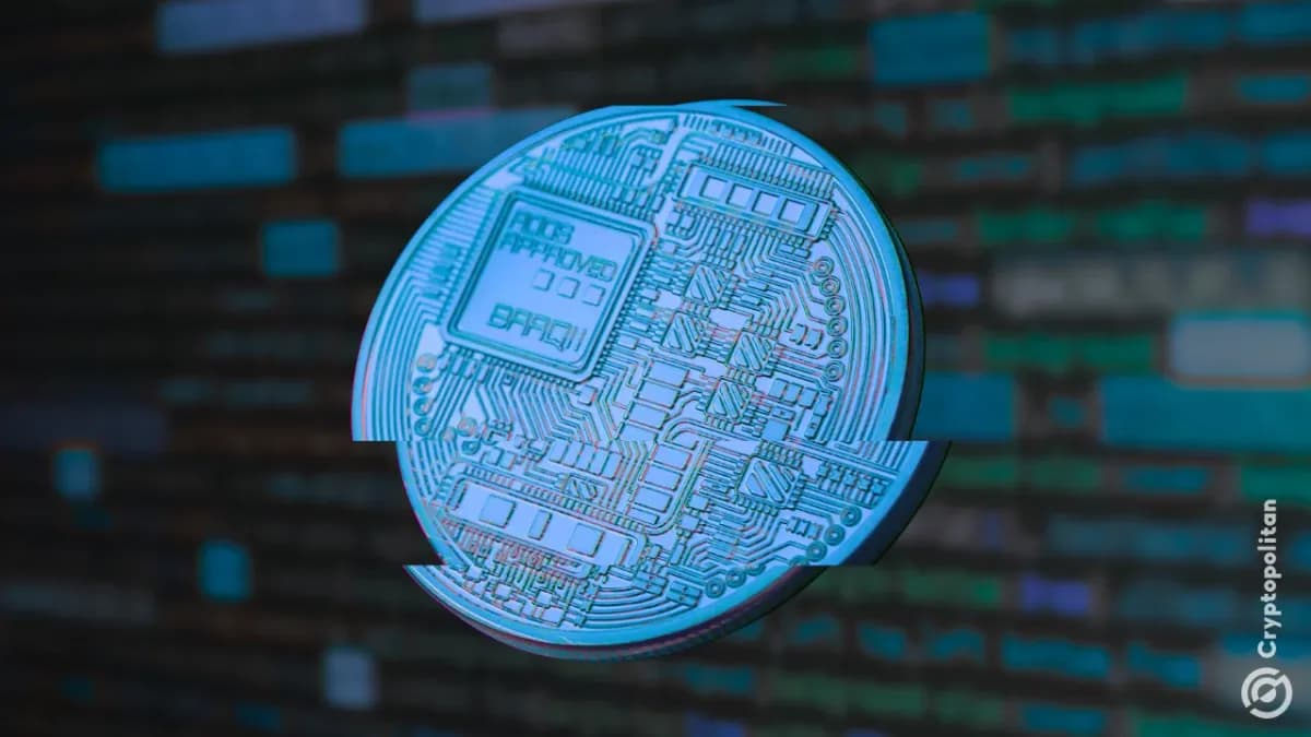 متداول عملات رقمية يخسر 200 ألف دولار بعد تسريب بوت على تطبيق تيليجرام لمفاتيحه الخاصة - Cryptopolitan