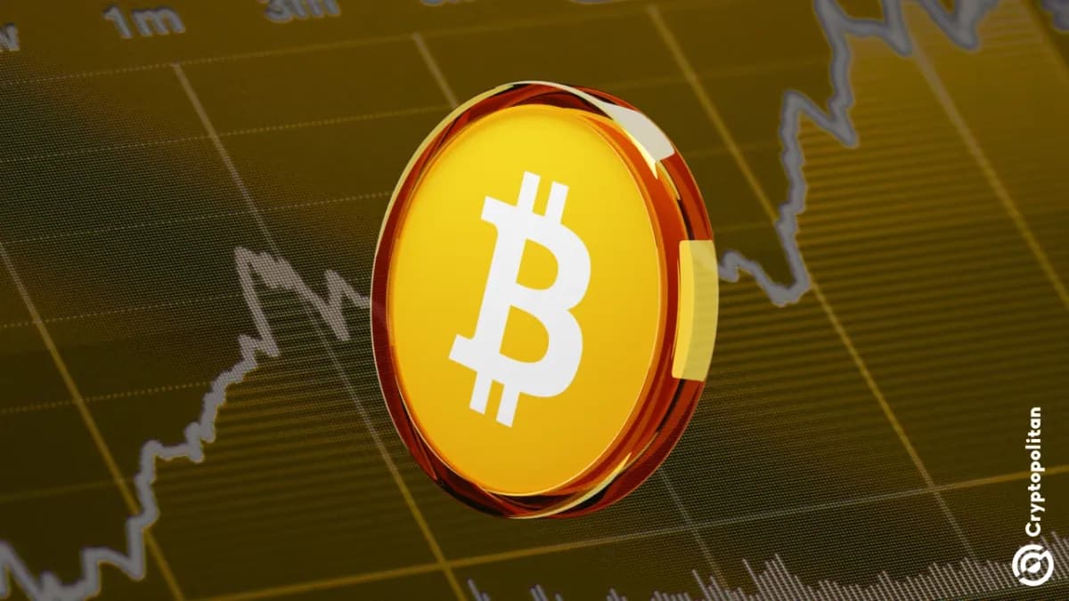 يقول وينترميوت إن تجاوز Bitcoin80 ألف دولار هو ارتفاع مؤقت وليس انتعاشًا صحيًا وسط جمود المفاوضات الأمريكية الإيرانية - Cryptopolitan