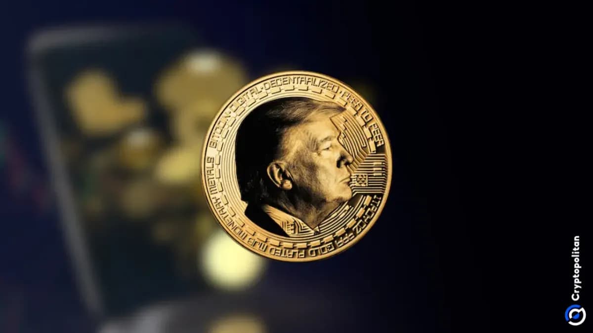فريق ترامب يحرك ما قيمته 29 مليون دولار من الرموز الرقمية مع تشديد البائعين قبضتهم على سوق الميمكوين
