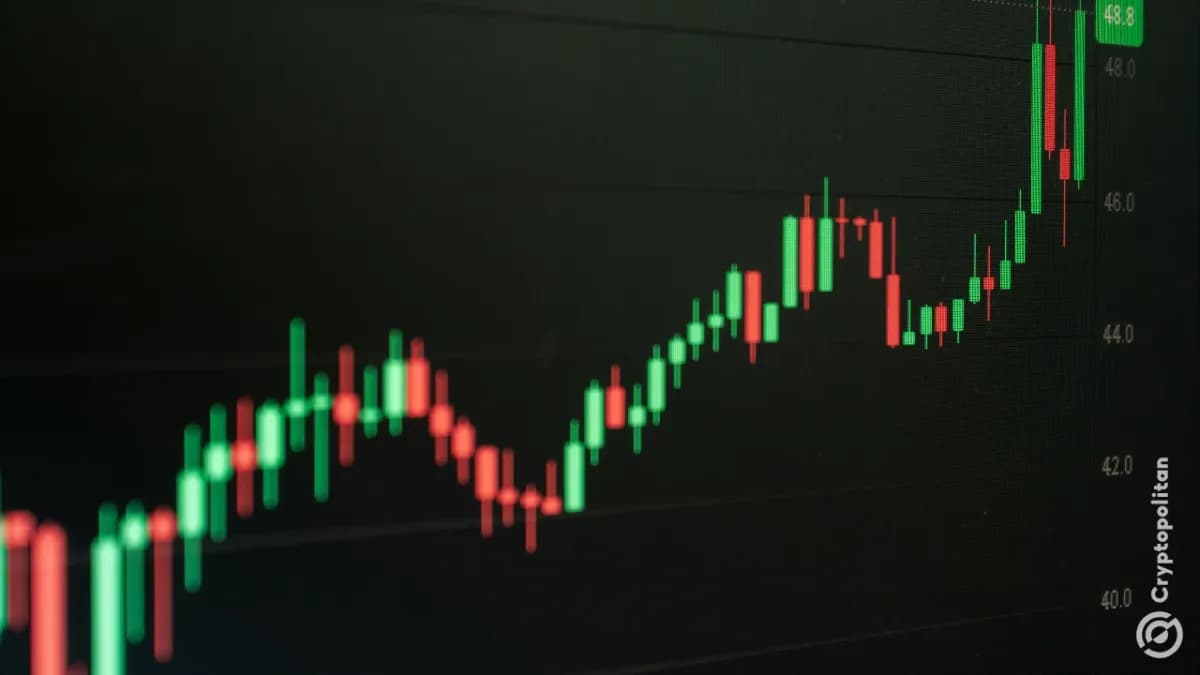 ارتفع سهم شركة سترايف بفضل خطة توزيع الأرباح اليومية رغم تجاوز خسائر الربع الأول 265 مليون دولار