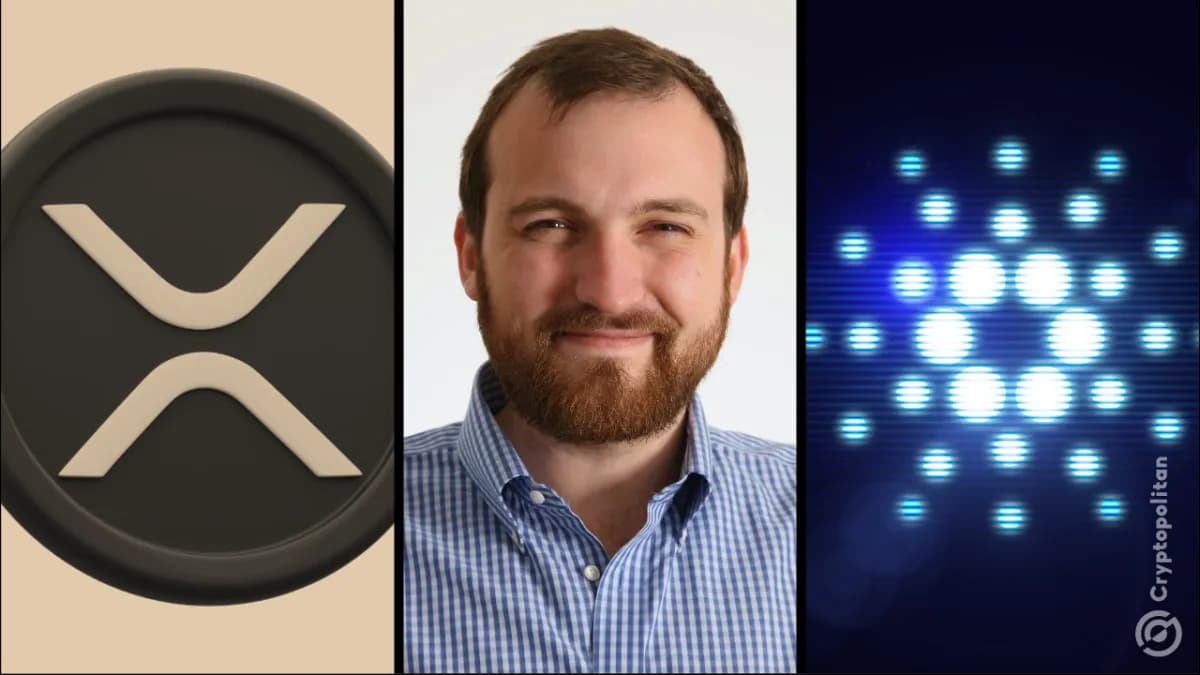 مؤسس Cardano يشيد بتصميم دفتر حسابات XRP بعد إعادة النظر في نموذج إجماع XRPL