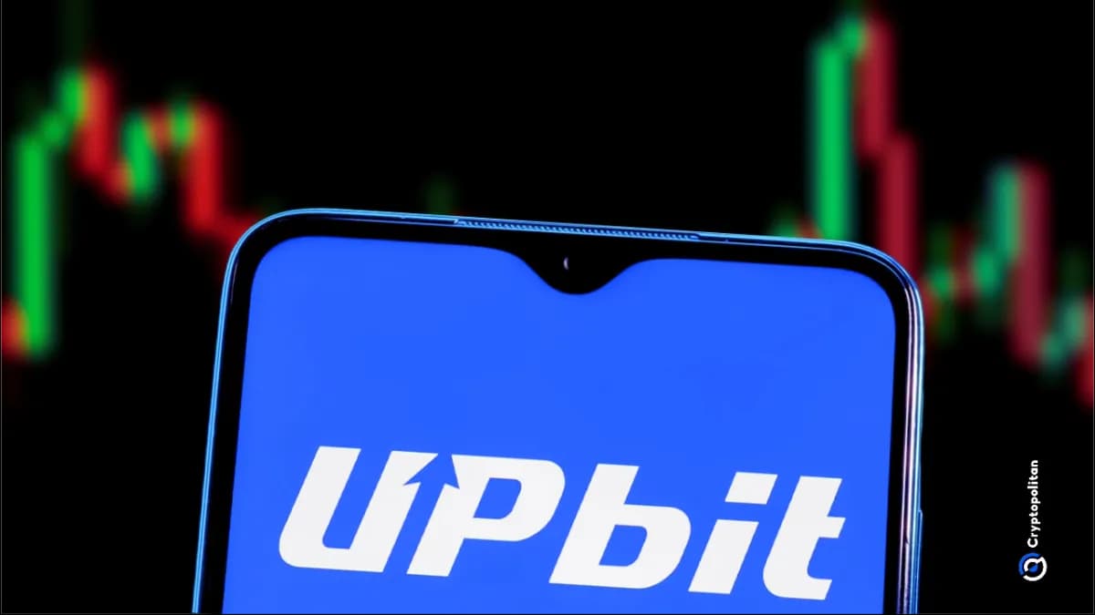 تعزو شركة دونامو انخفاض حجم التداول إلى تباطؤ أرباحها بنسبة 78% في الربع الأول - Cryptopolitan