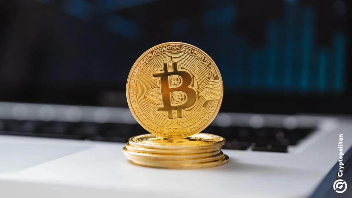 أكبر بنك في إيطاليا يُكثّف استثماراته في صناديق الاستثمار Bitcoin ، حيث تجاوزت قيمة انكشافه على العملات المشفرة 200 مليون دولار - Cryptopolitan