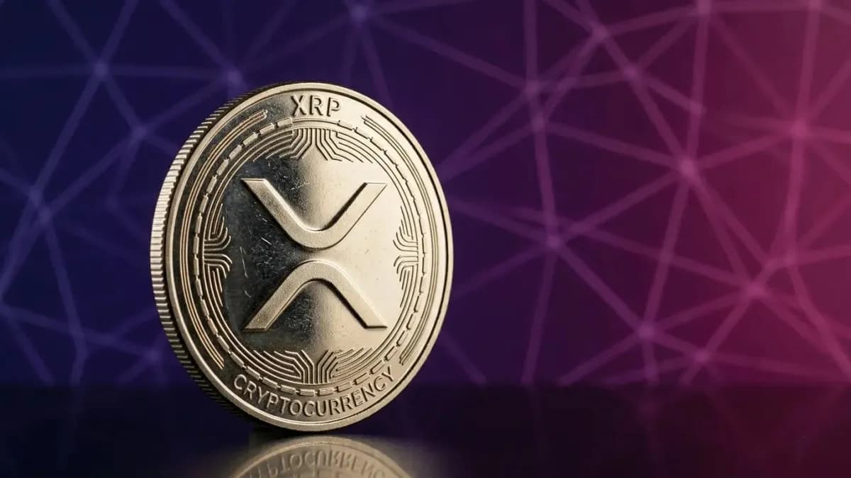 ديفيد شوارتز يدعم حملة جون ديتون الانتخابية بعملة XRP