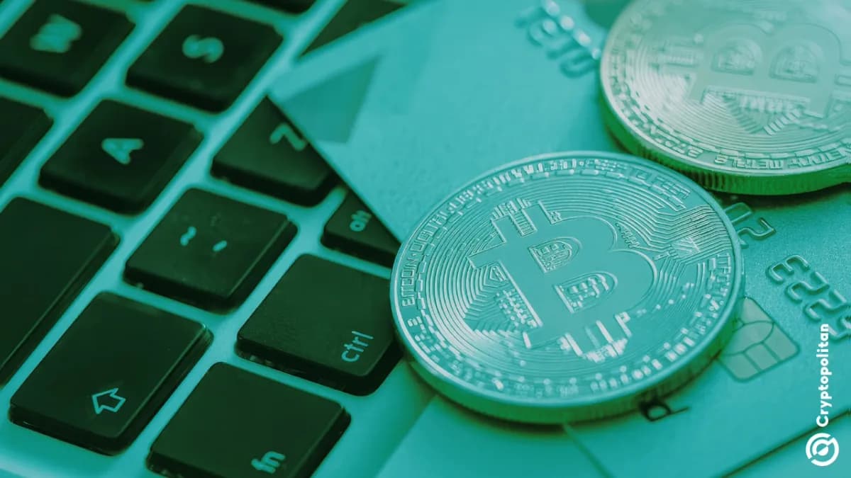 لولي وكارد تستخدمان Bitcoin cashباك في مسعى للسيطرة على قطاع مدفوعات بطاقات العملات المشفرة المزدهر - Cryptopolitan