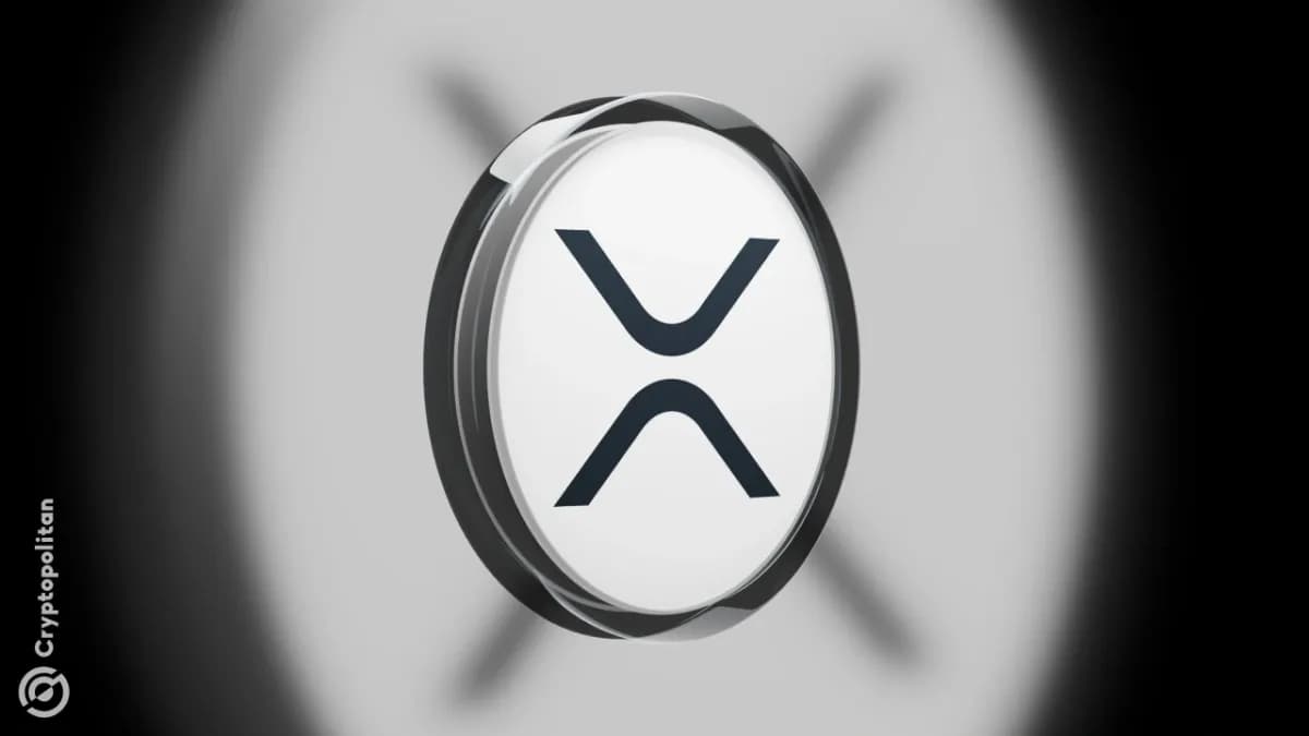 يترقب نظام XRP البيئي تحولاً في الخصوصية مع اختبار Flare للمعاملاتdentعبر السلاسل - Cryptopolitan