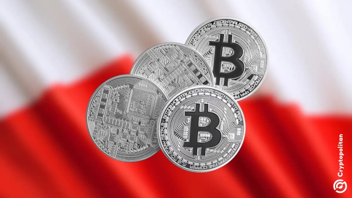 أظهر تقرير للبنك المركزي أن Bitcoin تحظى بشعبية كبيرة بين 2.5 مليون مستثمر في العملات الرقمية في بولندا - Cryptopolitan