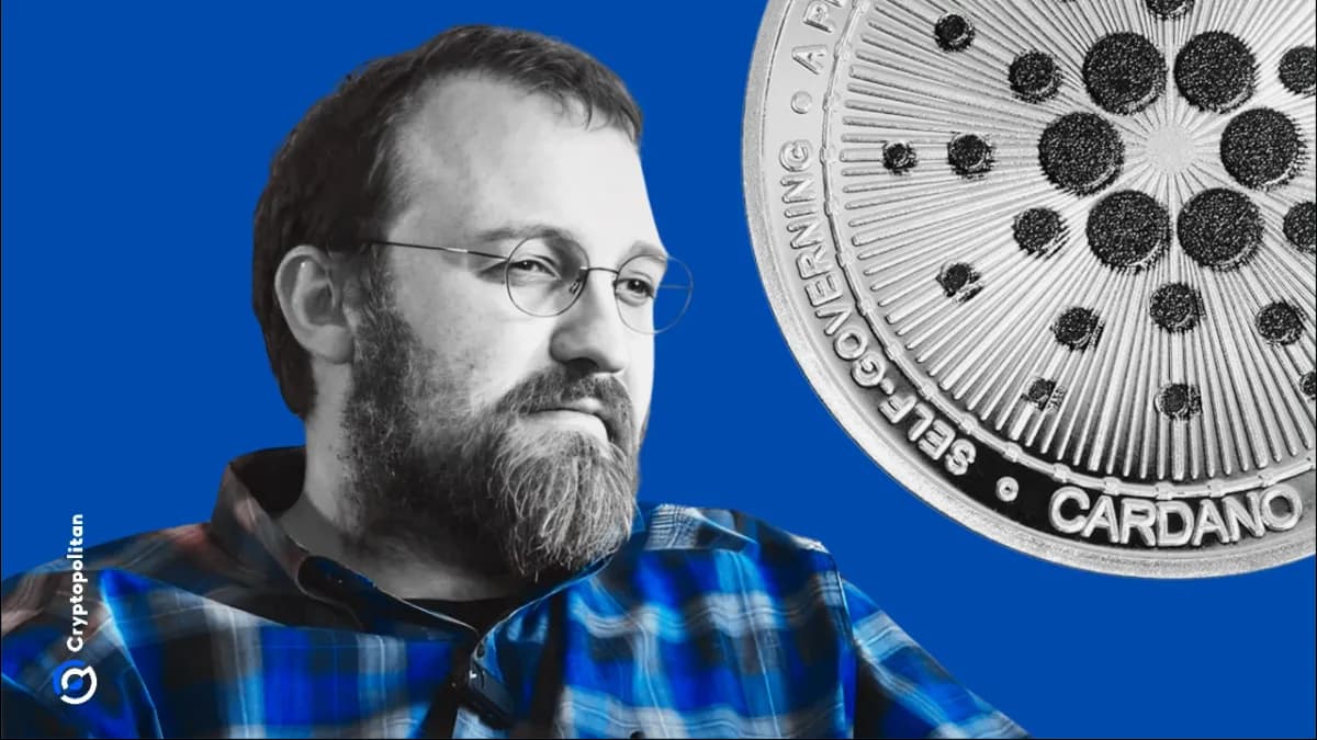يقول تشارلز هوسكينسون إن Cardano تتمتع بالأفضلية في سباق السيطرة على DeFi Bitcoin - Cryptopolitan