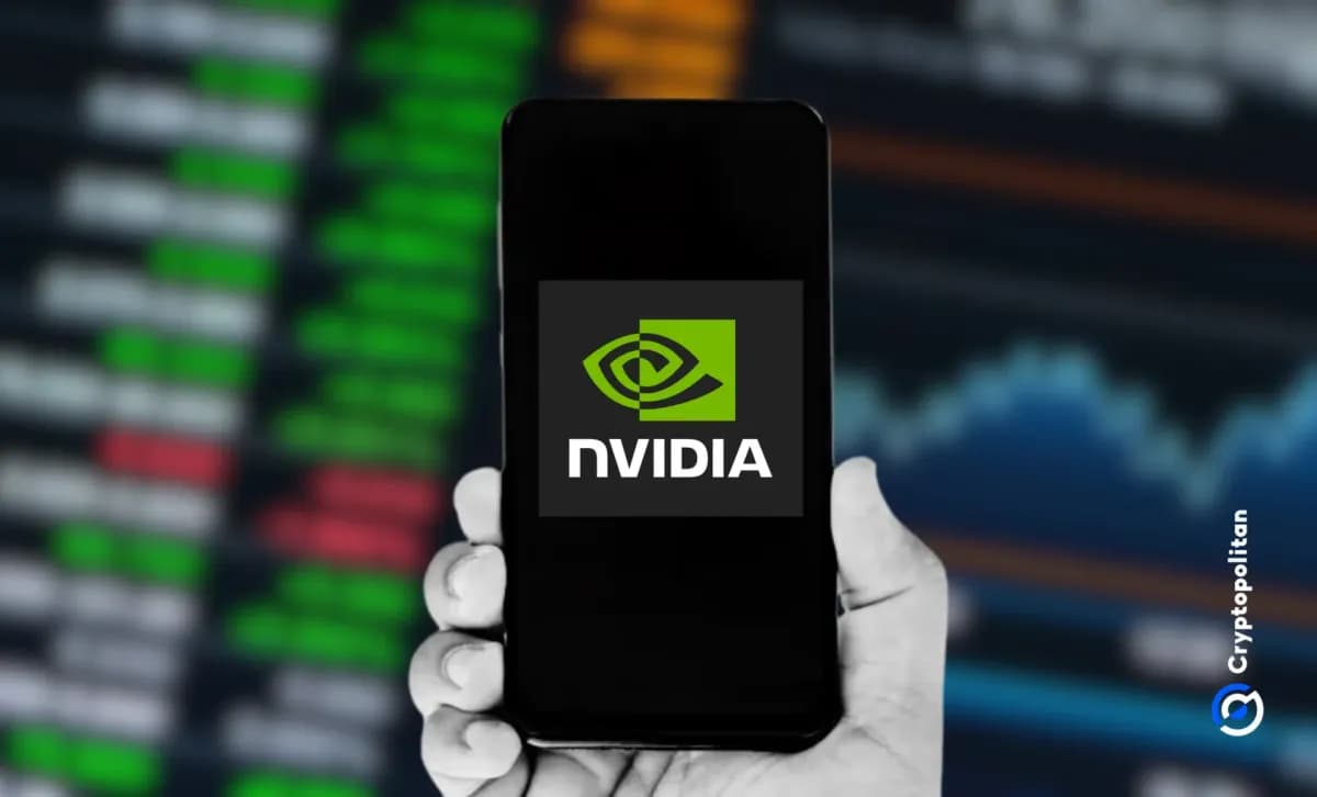 ارتفعت إيرادات شركة إنفيديا بنسبة 85%، لكن سعر السهم انخفض بعد إعلان الأرباح