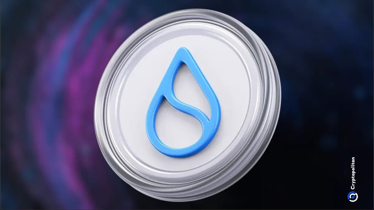 لماذا تتوقع شركة Grayscale مستقبلاً باهراً لشبكة Sui؟ - Cryptopolitan