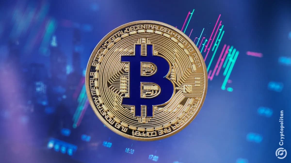 تكبدت Bitcoin التي بالغت في استخدام الرافعة المالية خسائر فادحة بلغت 576 مليون دولار