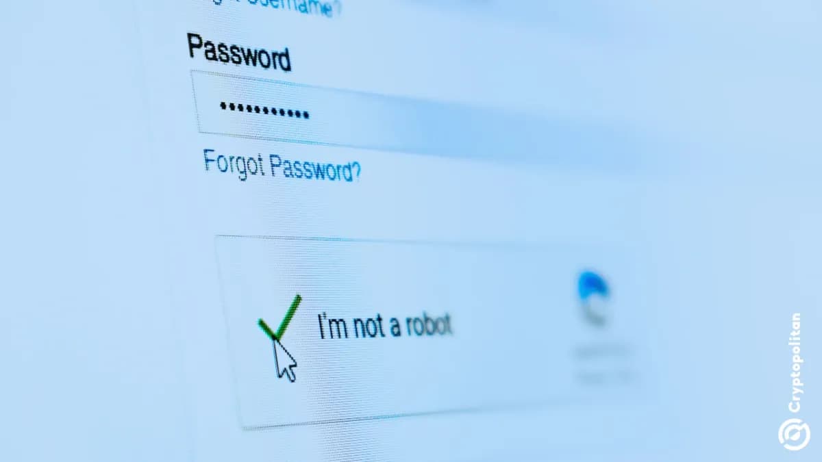 أطلقت BNB Chain حزمة Agent Survival لتمويل مدفوعات الذكاء الاصطناعي على سلسلة الكتل