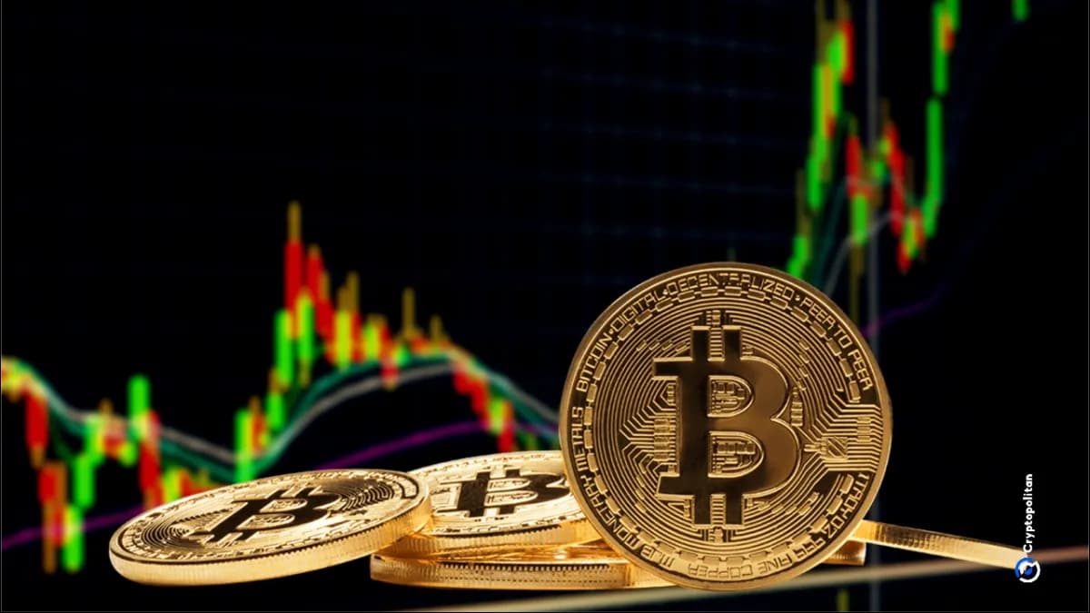 أسواق البيتكوين الفورية مستقرة بينما يتوقع متداولو الخيارات فوضى عارمة
