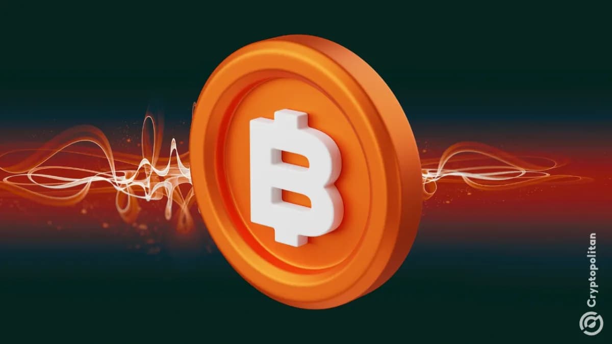 لماذا قام أحدهم بحرق 107 بيتكوين إلى الأبد؟
