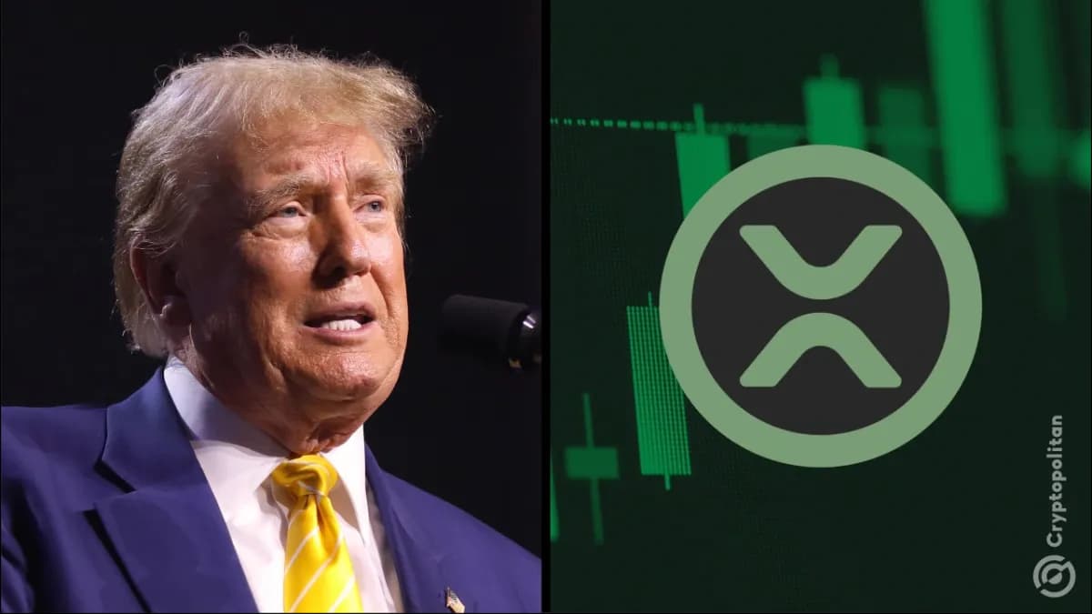قد يُغيّر الأمر الجديد الذي أصدره ترامب عملة XRP إلى الأبد