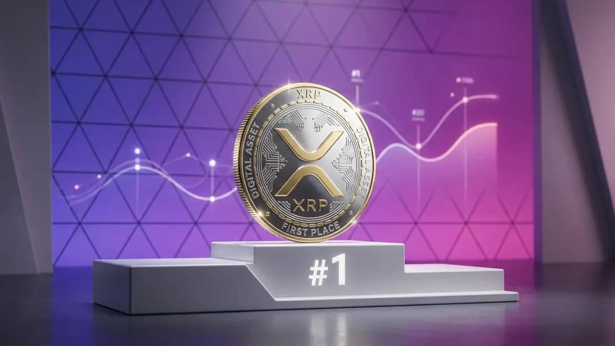 VanEck تصنف XRP Ledger كأفضل بلوكشين للمؤسسات متفوقة على JPMorgan