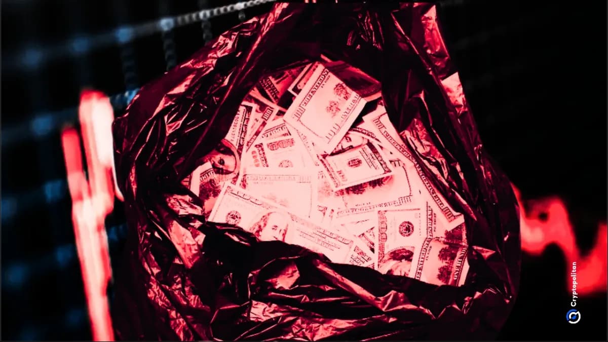 موجة اختراقات الجسور تتصاعد: أليفيوم تخسر 815 ألف دولار وسيركل تجمّد 12.6 مليون من زاما وسط ضغط تشريعي أمريكي