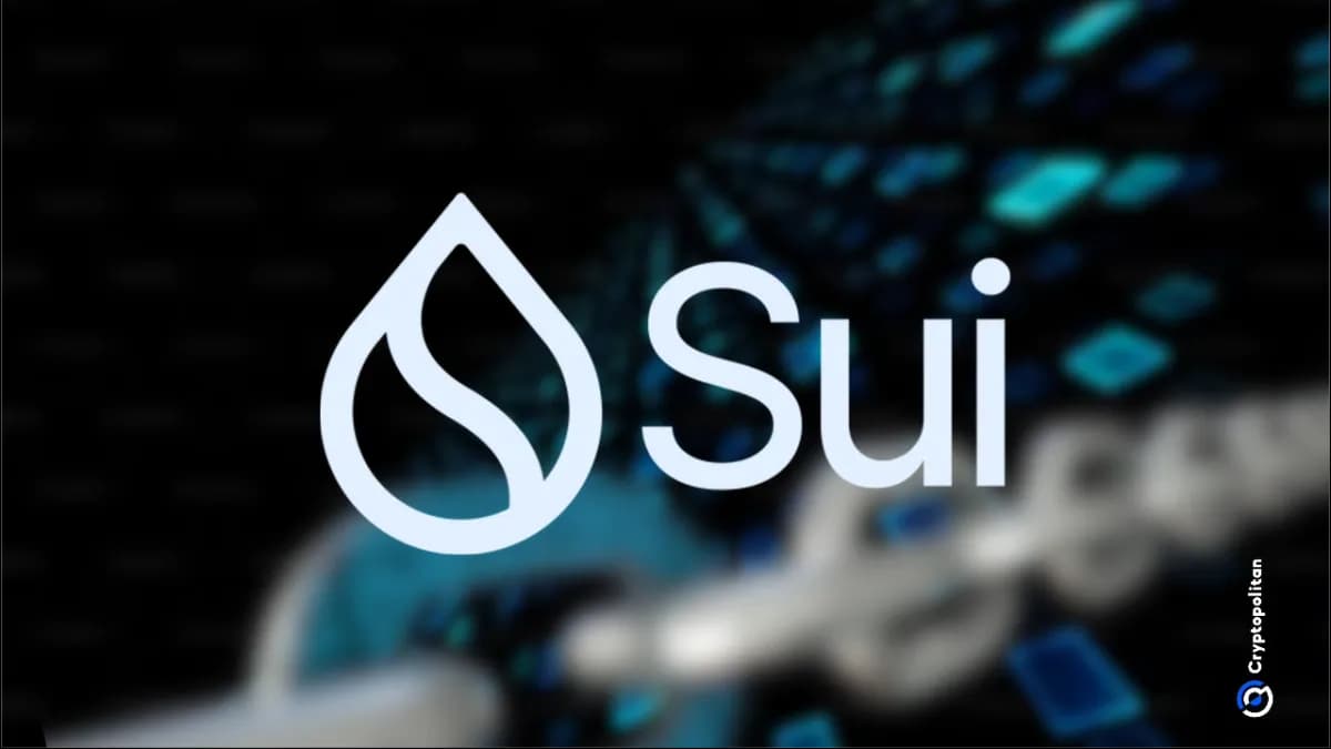 تعرضت شبكة Sui الرئيسية لانقطاعين في غضون يومين بسبب خلل في منطق الغاز يؤدي إلى توقف المعاملات