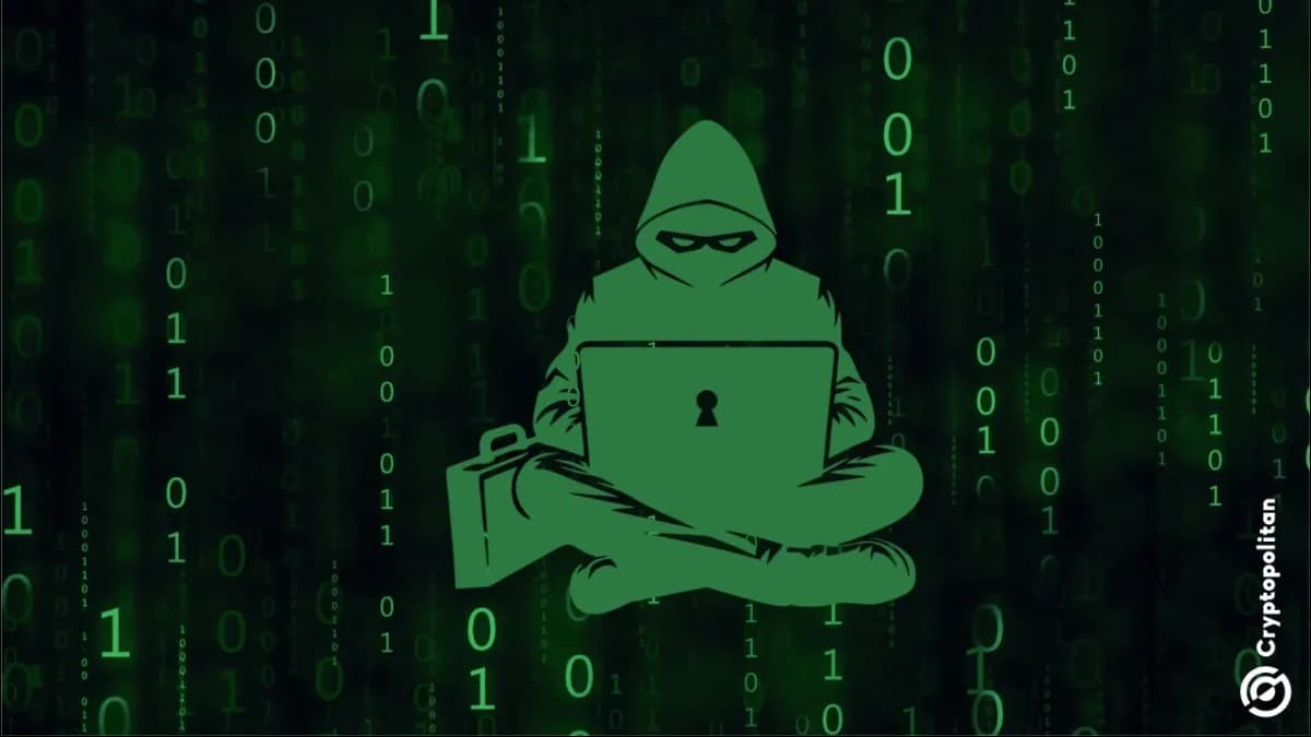 تقرير: قطاع العملات الرقمية يخسر 68.3 مليون دولار أمريكي بسبب عمليات الاحتيال في مايو - Cryptopolitan