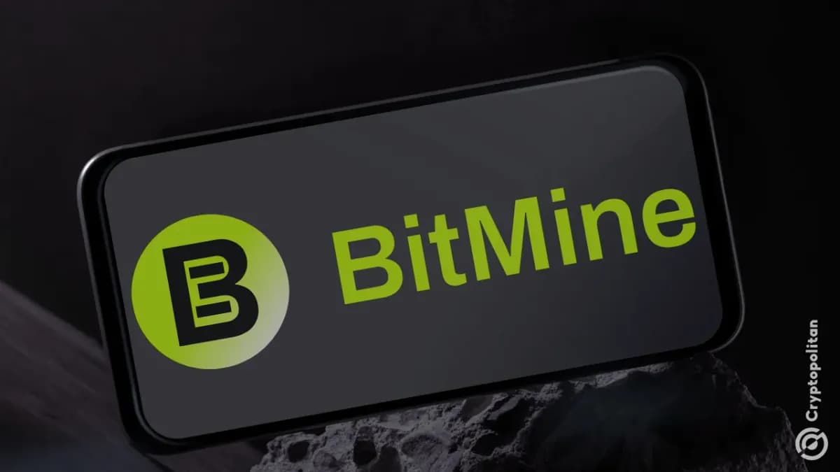 خفضت منصة Bitmine مشترياتها الأسبوعية من الإيثيريوم بنسبة 75% مع انخفاض سعر السهم وتراجع Ethereum إلى ما دون 2000 دولار - Cryptopolitan