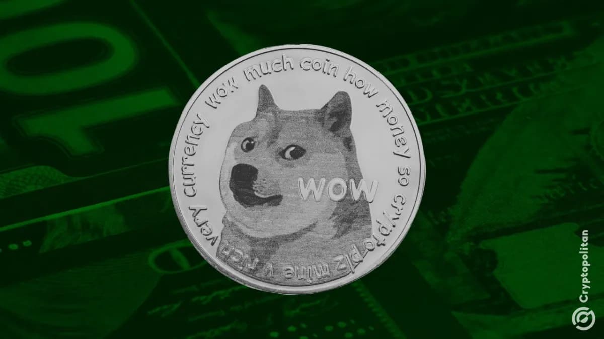 تتعاون شركة House of Doge مع Paxos لدمج عملة DOGE في منصة PayPal - Cryptopolitan