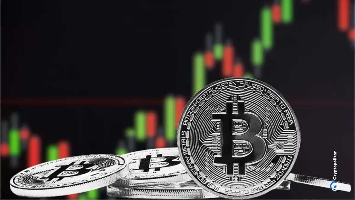 انخفض Bitcoin فجأة إلى 67 ألف دولار لأول مرة منذ فبراير - Cryptopolitan