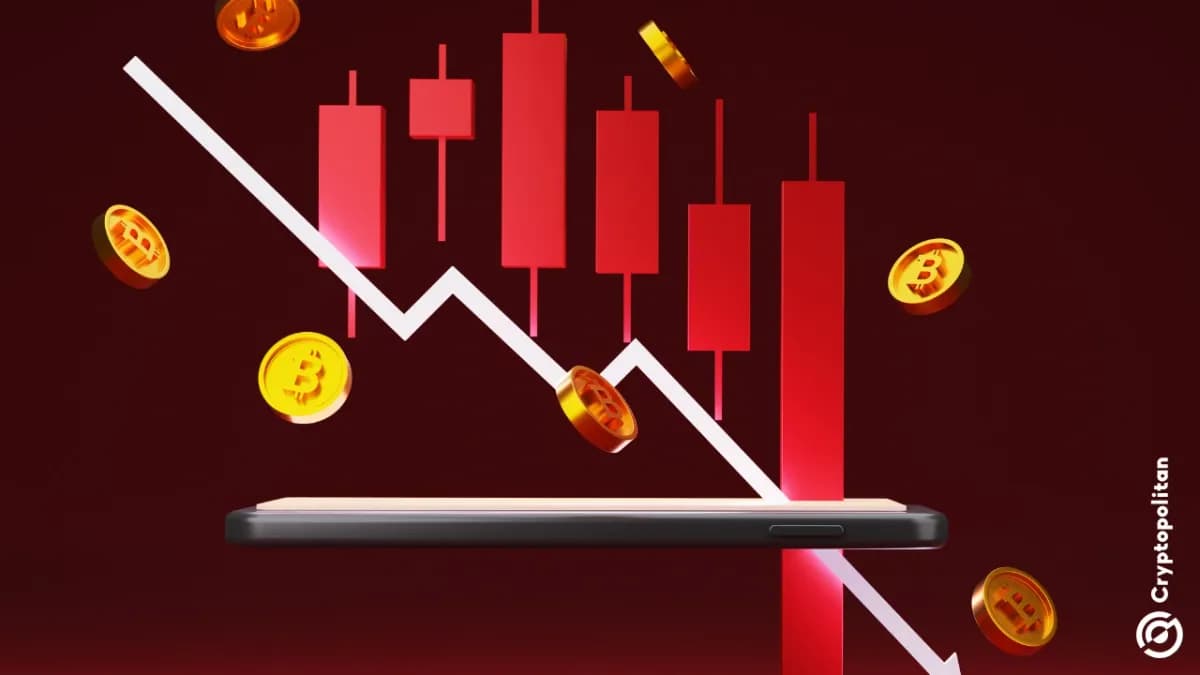 إغلاق منصة بينغو ومنصة 0xPPL مع تراجع سوق العملات الرقمية وتأثيره على المزيد من المشاريع - Cryptopolitan