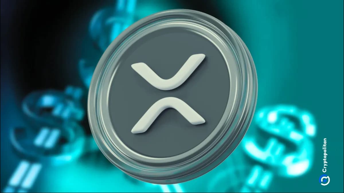 يقترب إطلاق XRP Ledger 3.2.0 مع تحول النظام الأساسي من rippleD إلى XRPLD - Cryptopolitan