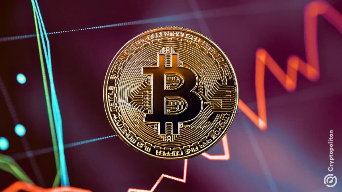 انخفض Bitcoin إلى 59 ألف دولار مع توقف السوق عن تصديق قصة التمسك بالعملة بأي ثمن - Cryptopolitan