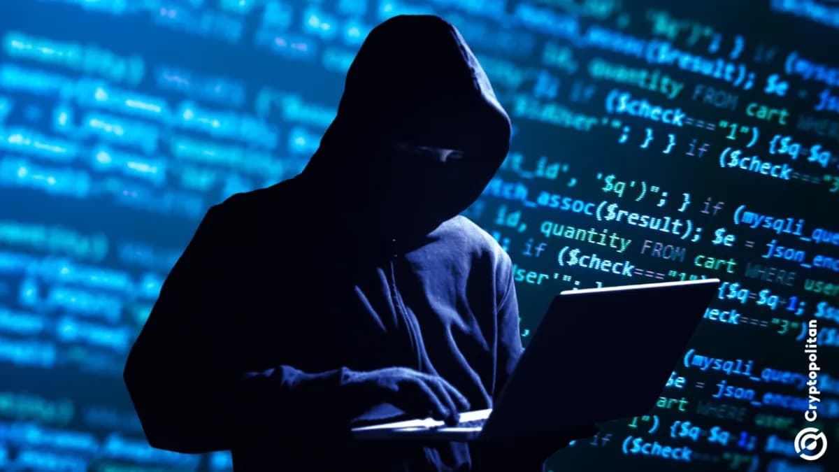 قام مهاجمون باختراق حزمة WeaveDB npm الخاصة بشركة Arweave لنشر برمجيات خبيثة - Cryptopolitan