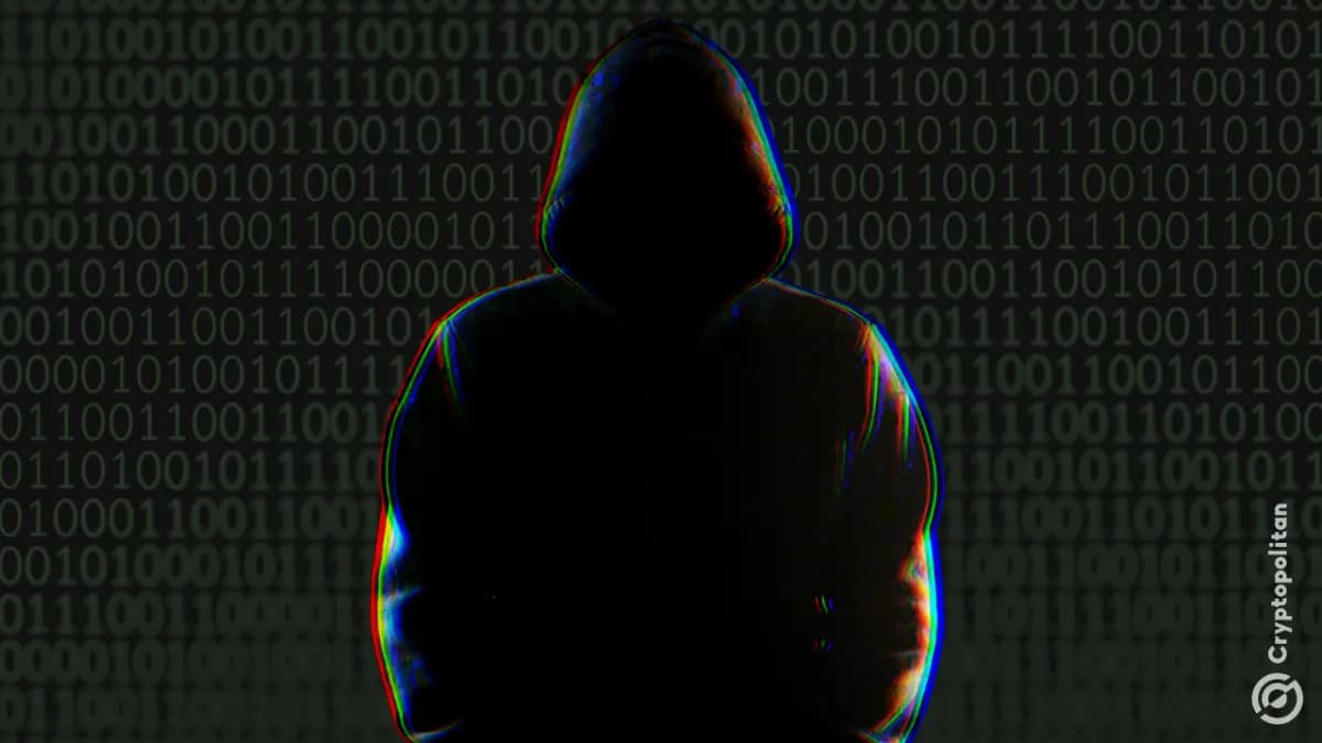 لا يزال جسر سيسكوين متوقفًا مؤقتًا بسبب ثغرة أمنية في سكّ 5 مليارات رمز تهدد مستقبل المشروع - Cryptopolitan