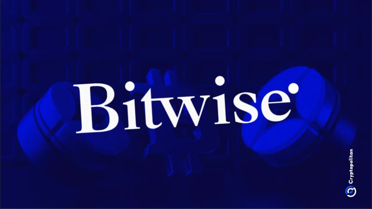 الرئيس التنفيذي لشركة Bitwise يوجه رسالة للمستثمرين الذين يسعون وراء أسهم الذكاء الاصطناعي