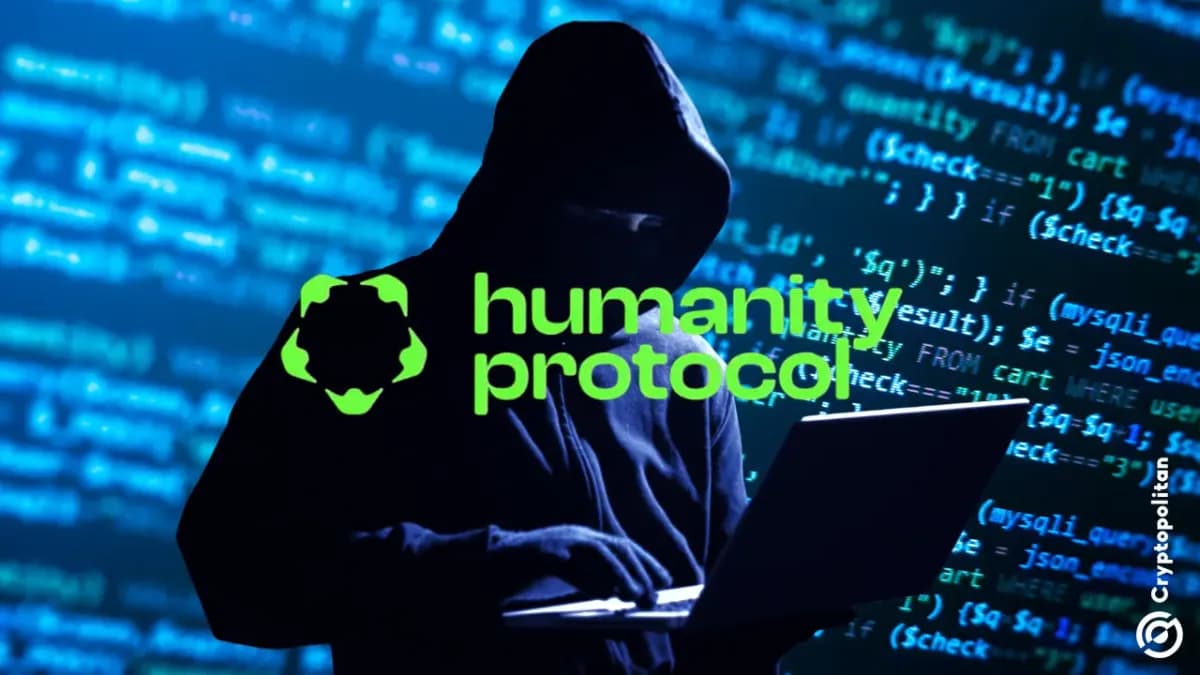 تعرض بروتوكول الإنسانية لسرقة المفتاح الخاص، وتعطل بنسبة 90%