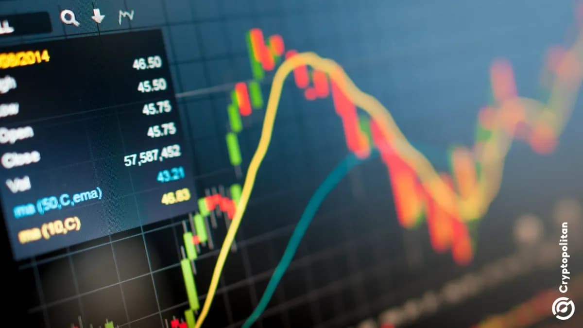 فضيحة الرئيس التنفيذي تهز أسهم شركة فيكتوري جاينت، الموردة لشركة إنفيديا