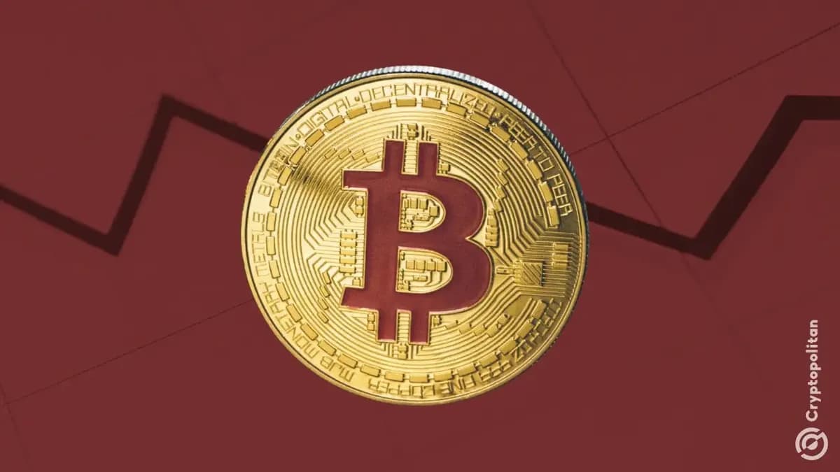 ارتفاع نسبة انخفاض المعروض من عملة Bitcoinمن 34% إلى أكثر من 50% خلال شهر واحد - Cryptopolitan