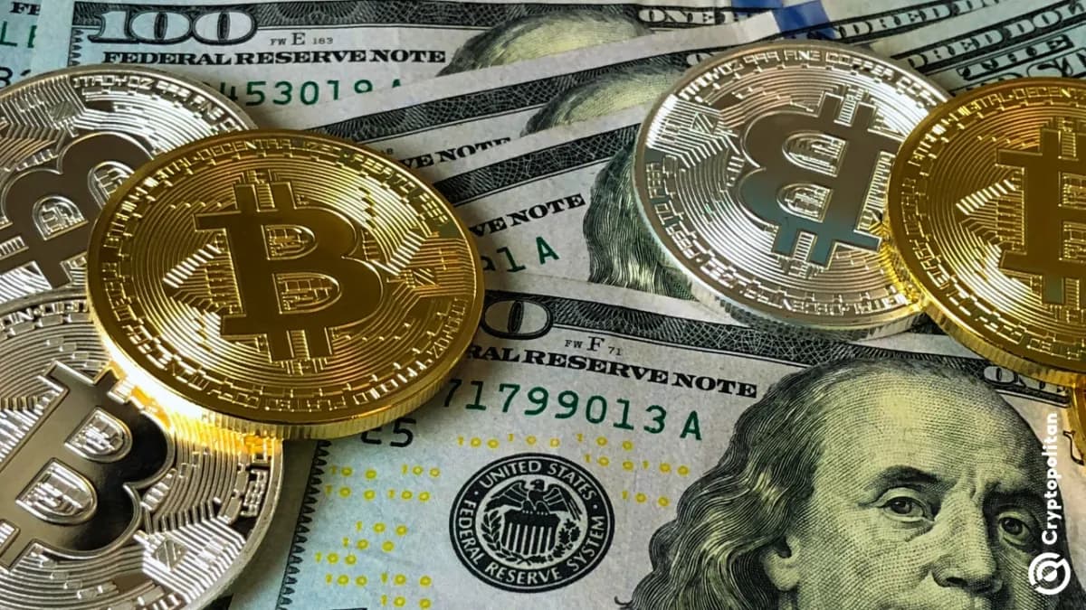 شركة فولد تبيع ما قيمته 45 مليون دولار من Bitcoin لسداد ديونها وتوفير cash اللازمة للنمو - Cryptopolitan