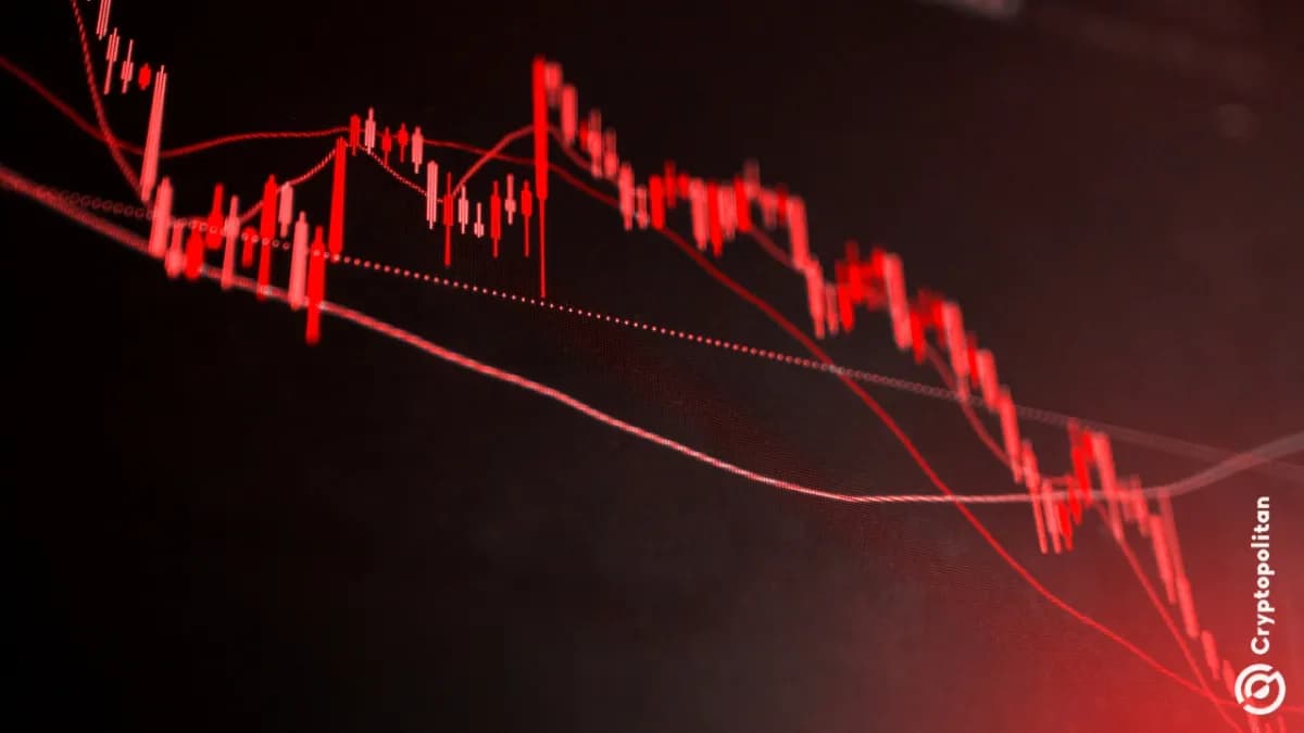 ارتفعت قيمة العملات الرقمية التي تركز على الخصوصية بنسبة 4.5% في يوم واحد، لكن الخسائر الشهرية التي شهدها القطاع تشير إلى قلق أعمق في السوق - Cryptopolitan