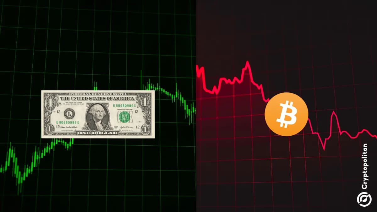 الدولار يسجل أعلى مستوى له في عام واحد بينما ينخفض Bitcoin إلى ما دون 63 ألف دولار وسط توقعات برفع الاحتياطي الفيدرالي للأسعار - Cryptopolitan
