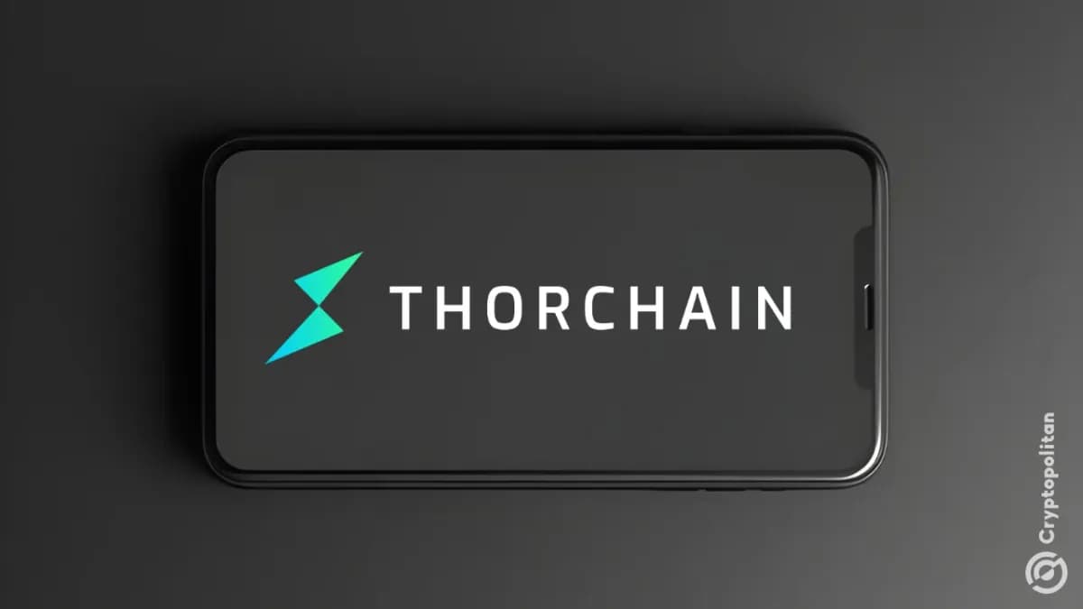 استأنفت THORChain التداول عبر السلاسل بعد 39 يومًا من استغلال ثغرة أمنية بقيمة 10.7 مليون دولار - Cryptopolitan