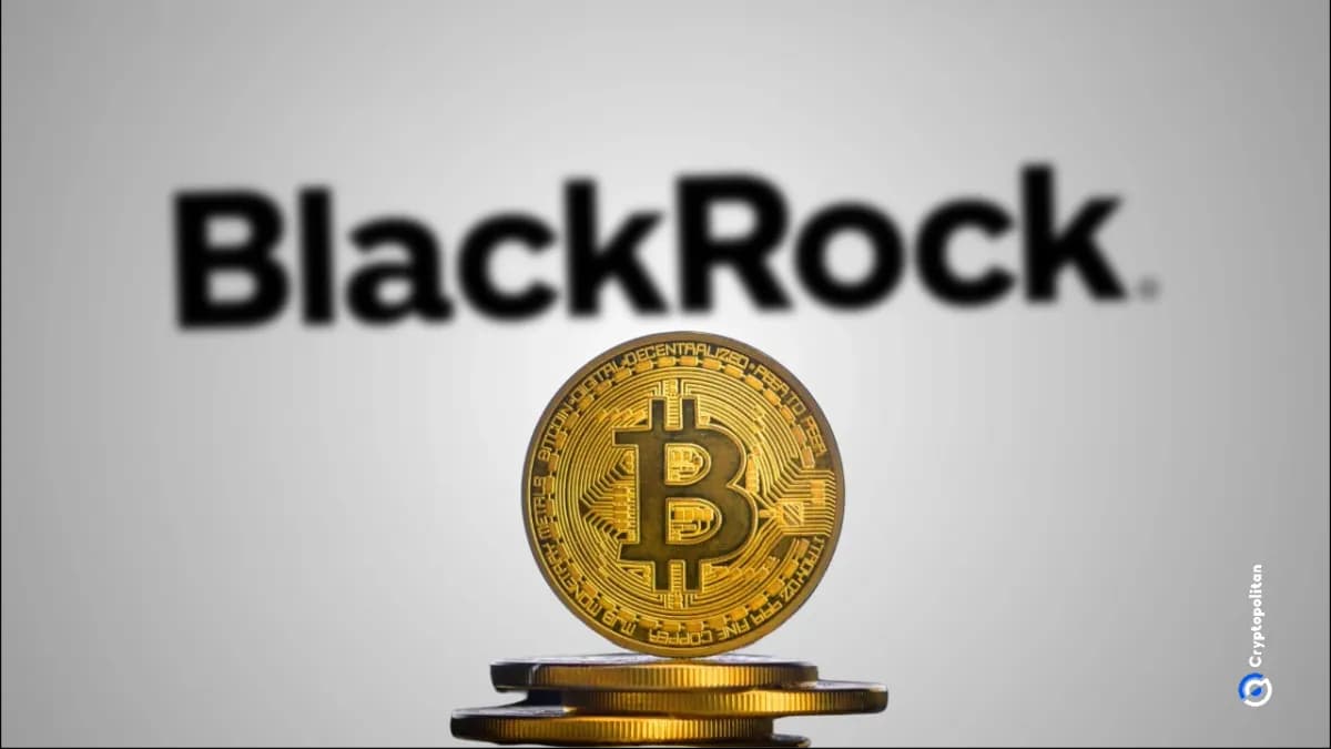 تدعم شركة بلاك روك تخصيصاً متواضعاً Bitcoin كأداة لتنويع المحفظة الاستثمارية في عصر الذكاء الاصطناعي - Cryptopolitan