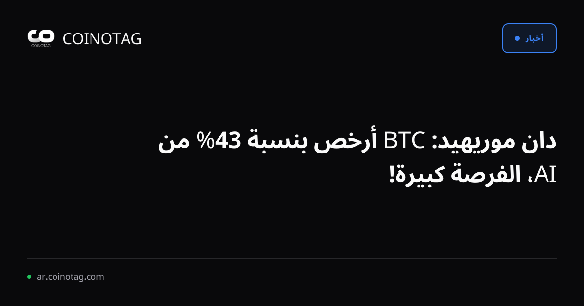 دان موريهيد: BTC أرخص بنسبة 43% من AI، الفرصة كبيرة!